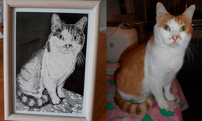 Aperçu avec comparatif photographie et dessin de chat roux tigré réalisé à la main en noir et blanc avec staedler pigment liner